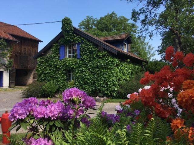 Et Roulotte Dans Les Vosges Holiday home Remiremont